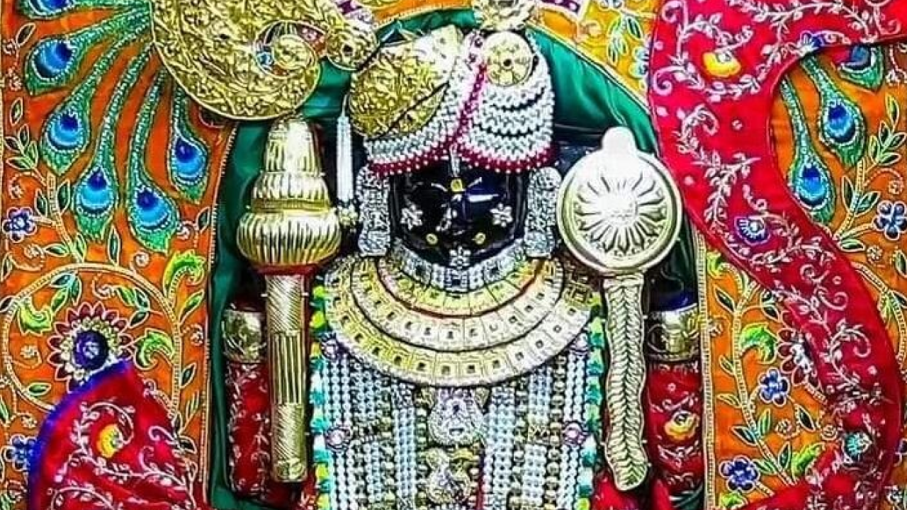 Ekadashi Special Brahman Bhojan, Gau Seva and Deep Daan in Dwarka Dham