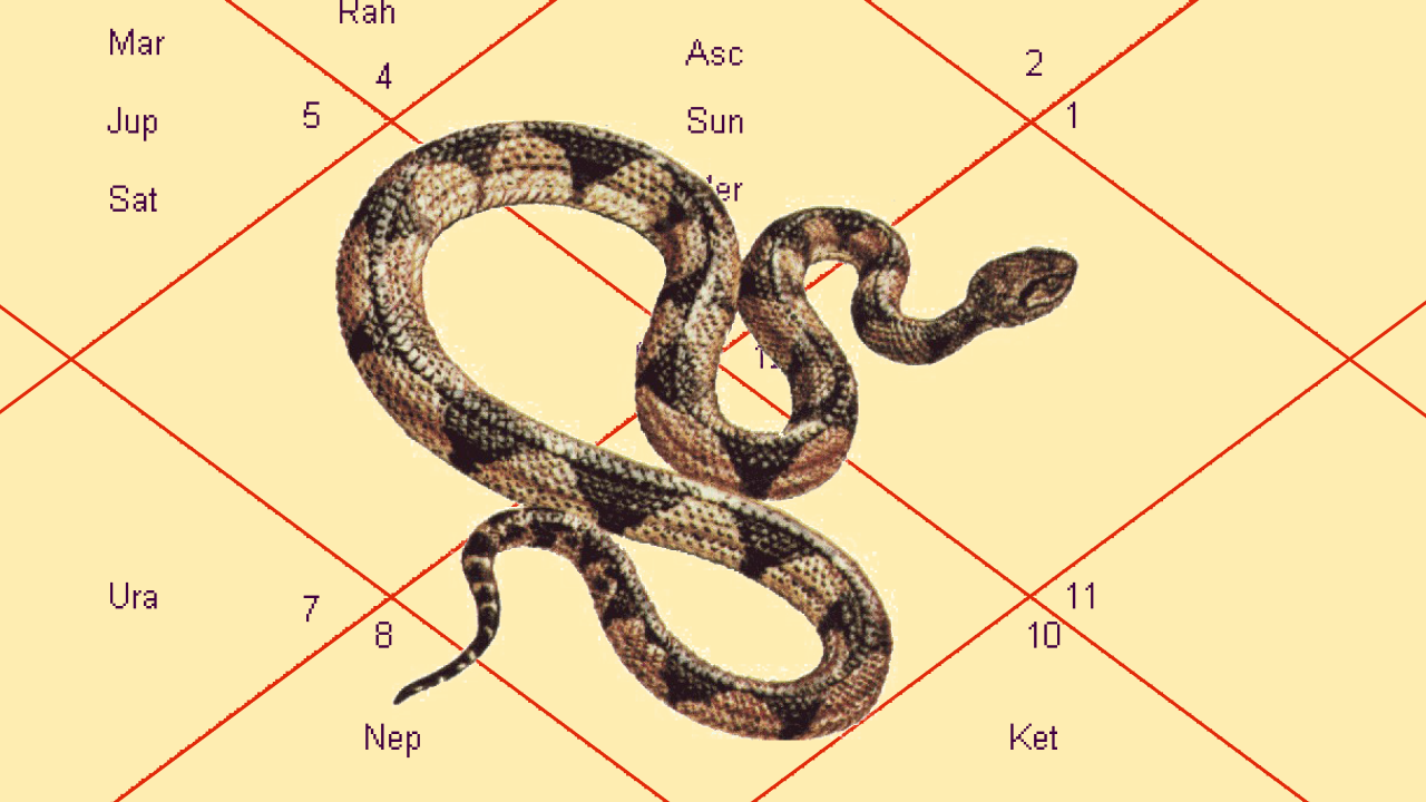 Nag Panchami Kaal Sarp Dosh Puja and Rudrashtak Path