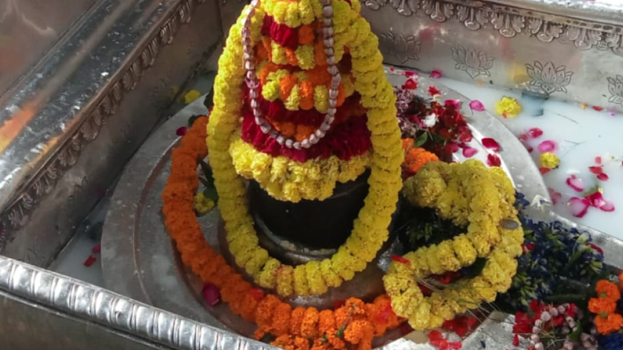 Mahamrityunjay Maha Yagya for Safety of Your Family