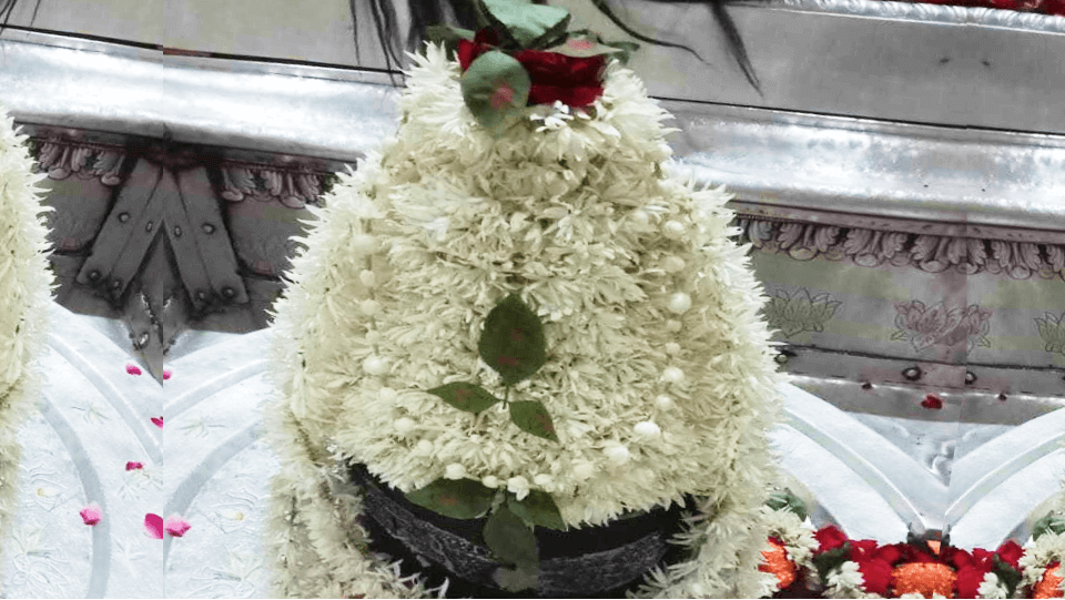 Mahamrityunjaya Yagya and Rudrabhishek Shiva Maha Puja