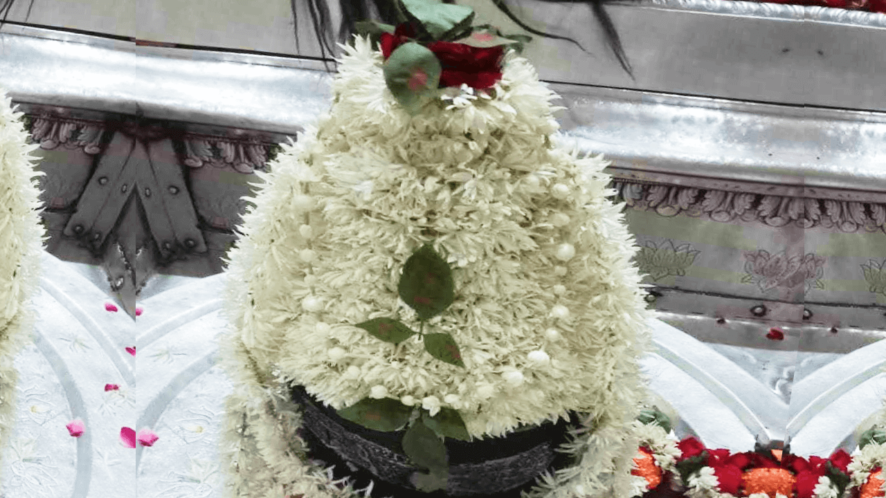 Mahamrityunjaya Yagya, Mantra Jaap, and Rudrabhishek Shiva Maha Puja