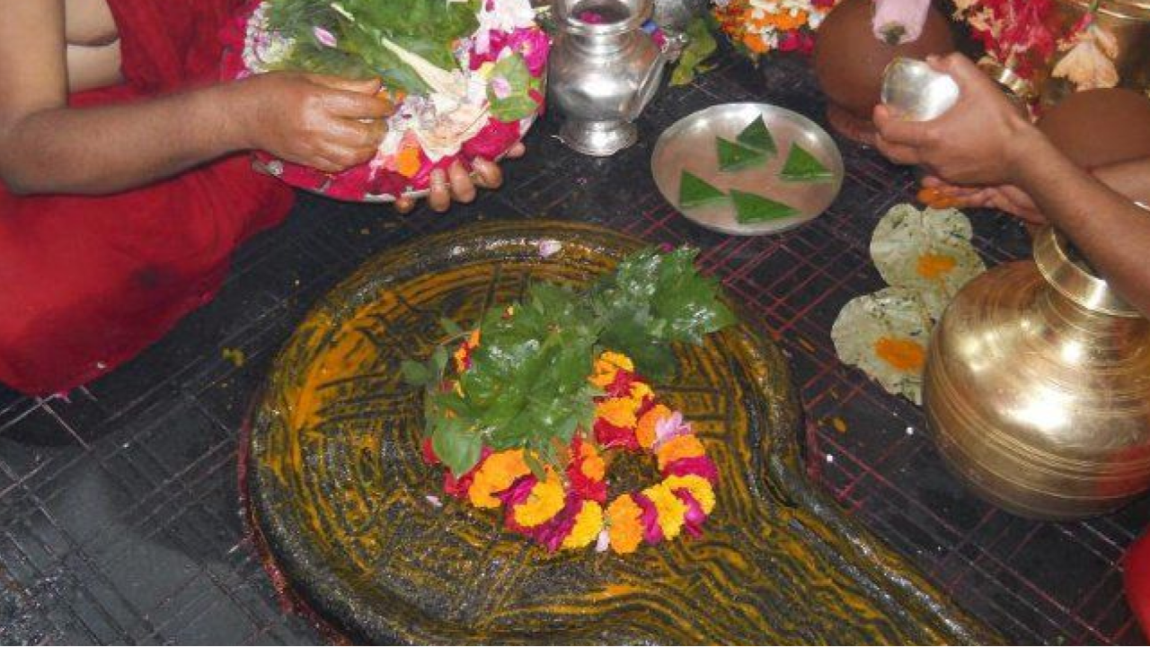 Mahamrityunjaya Yagya and Rudrabhishek for Good Health and Freedom from Accidents