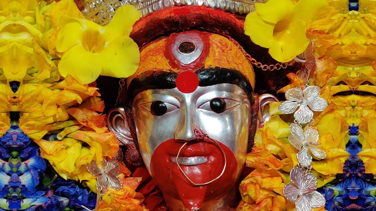 Mahalaya Amavasya Special : Maha Vidya Tara Siddha Maha Yagya for Wealth, Attraction, Protection against Enemies & Negative Energies and Removal of Black Magic, Tantra Badha, Nazar Dosha & Evil Eyes
