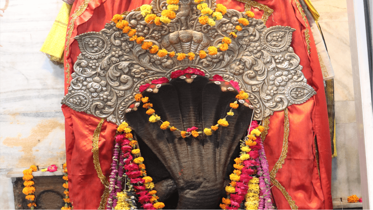 Nag Panchami Kaal Sarp Dosha Puja and Rudrabhishek