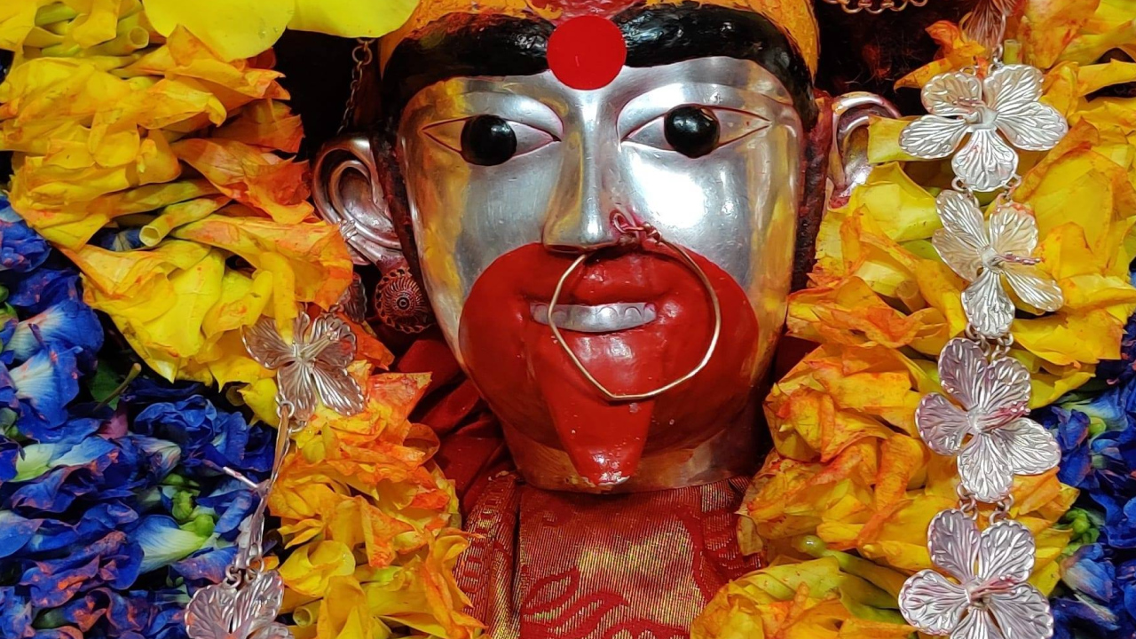 Maha Vidya Tara Siddha Maha Yagya, Ashtottara Namavali and Chandi Yagya