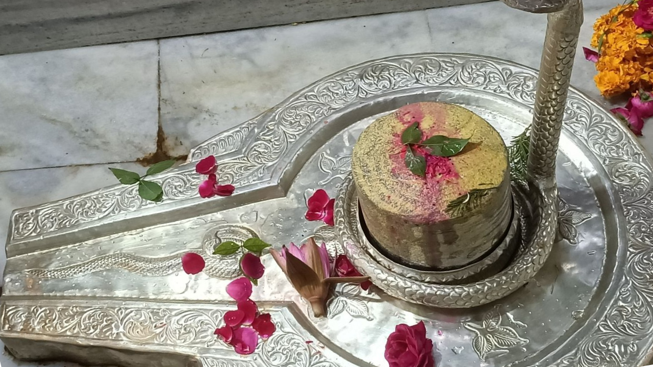 Sawan Somvar Special: Rin Mukti Shiv Havan and Rudrabhishek Puja 