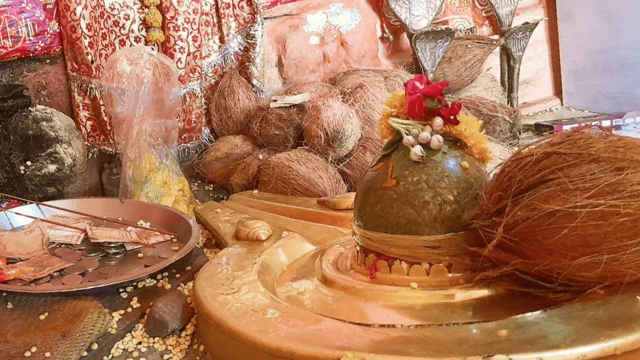 Rin Mukti Shiv Havan and Rudrabhishek Puja 
