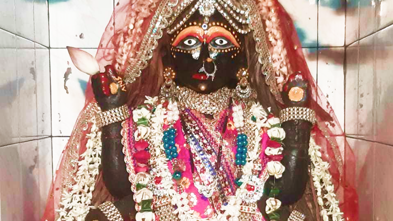 Navratri Shashti Katyayani Maha Puja and Chandi Yagya