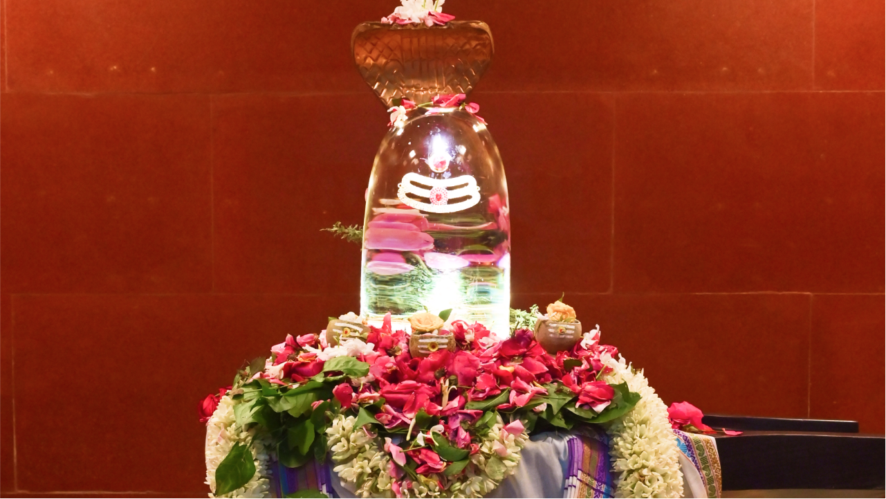 Homatmak Laghu Rudra Yagya, Sphatik Shivalinga Rudrabhishek, Gauseva and Maha Aarti